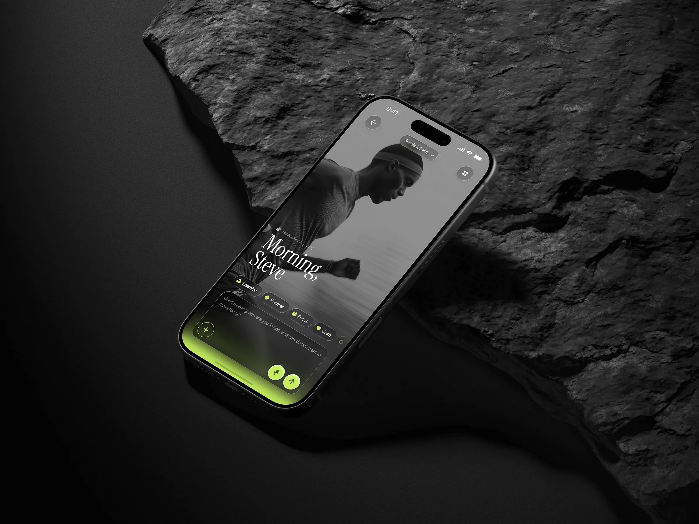 Fitness Tracker Interface